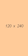 Banner 120x240 pixelů (vertical banner)
